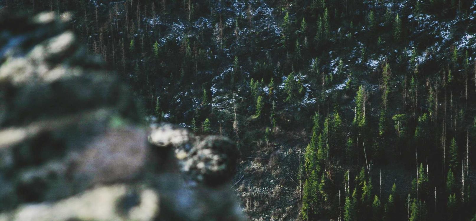 宁波中文域名购买平台