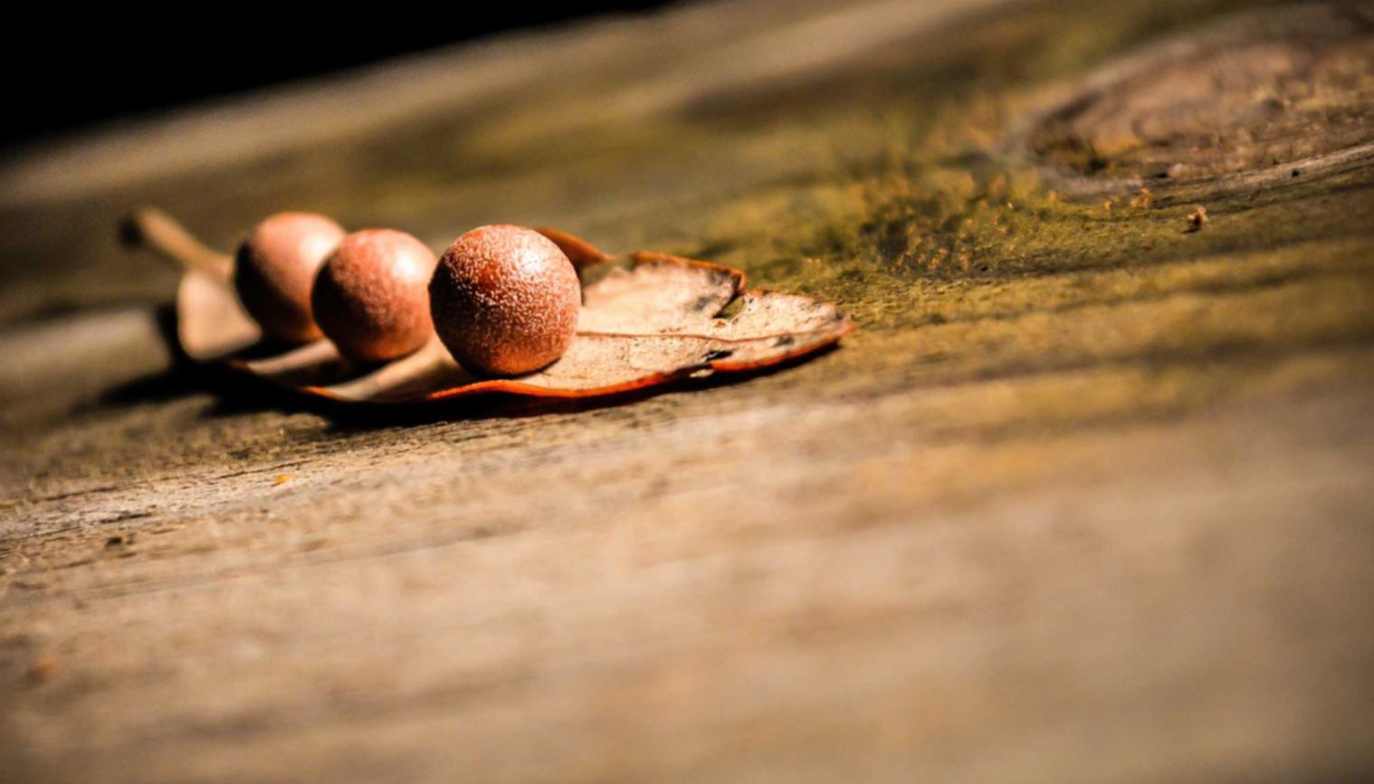 天九2富民签到App详情下载教程