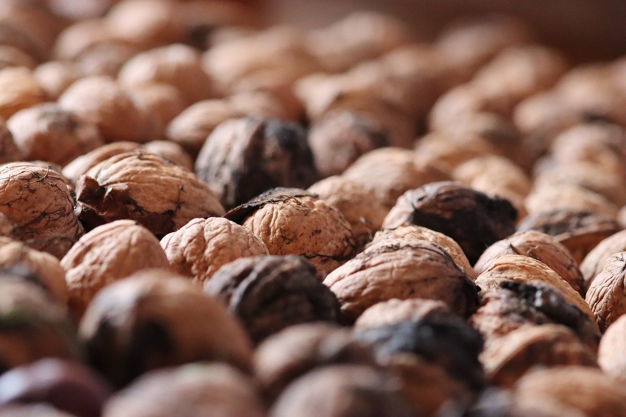 一位技术支持程序员的真实生活:背后有多少黑暗?