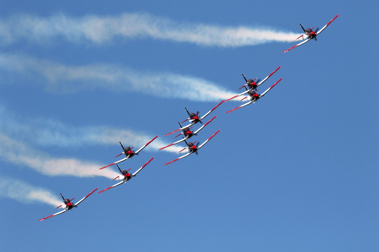 铁塔猫烟花芒果珠(细):代理注册uplay