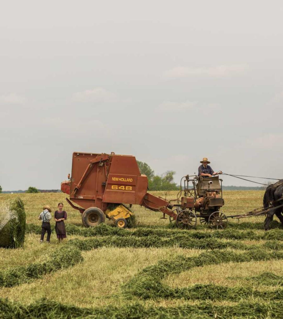 微信号批发：移动流量卡价格排名：哪种流量卡更具吸引力